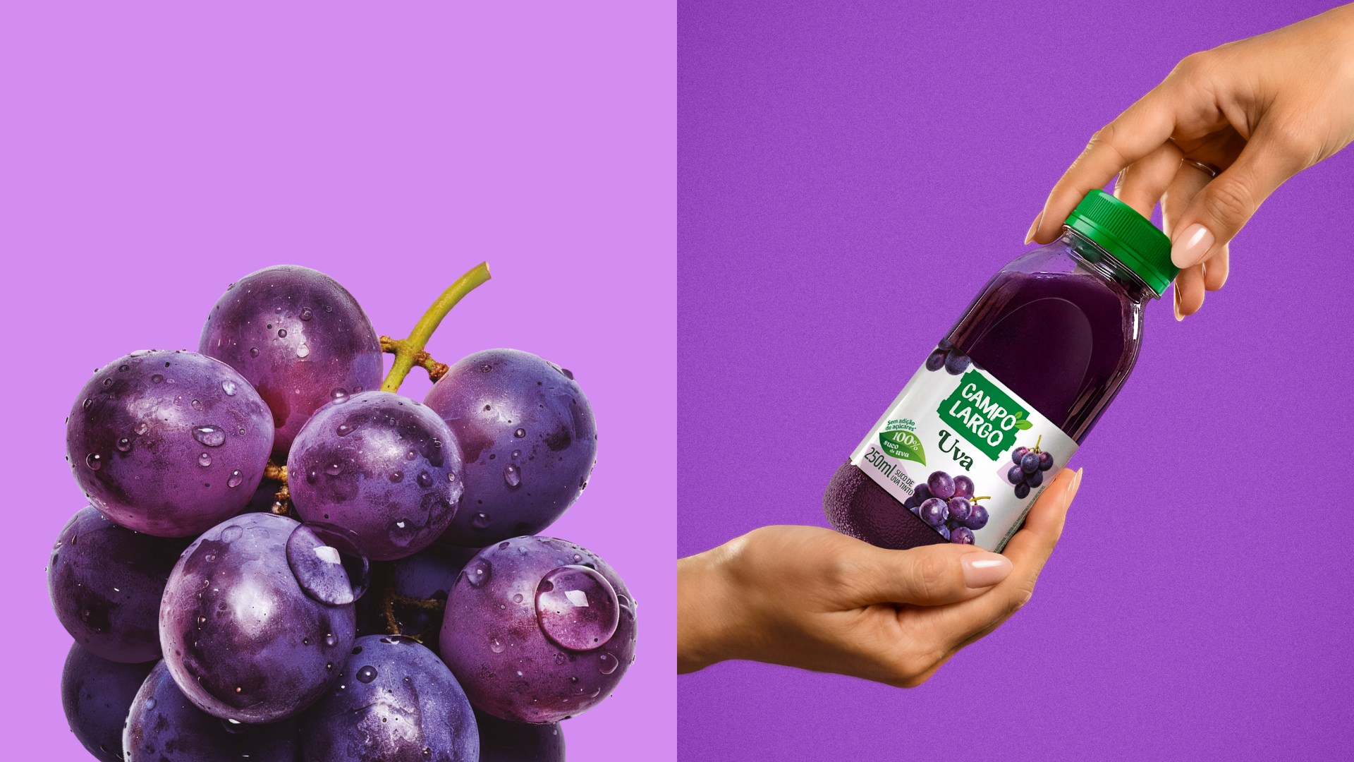 Projeto de design de embalagens sucos Campo Largo.