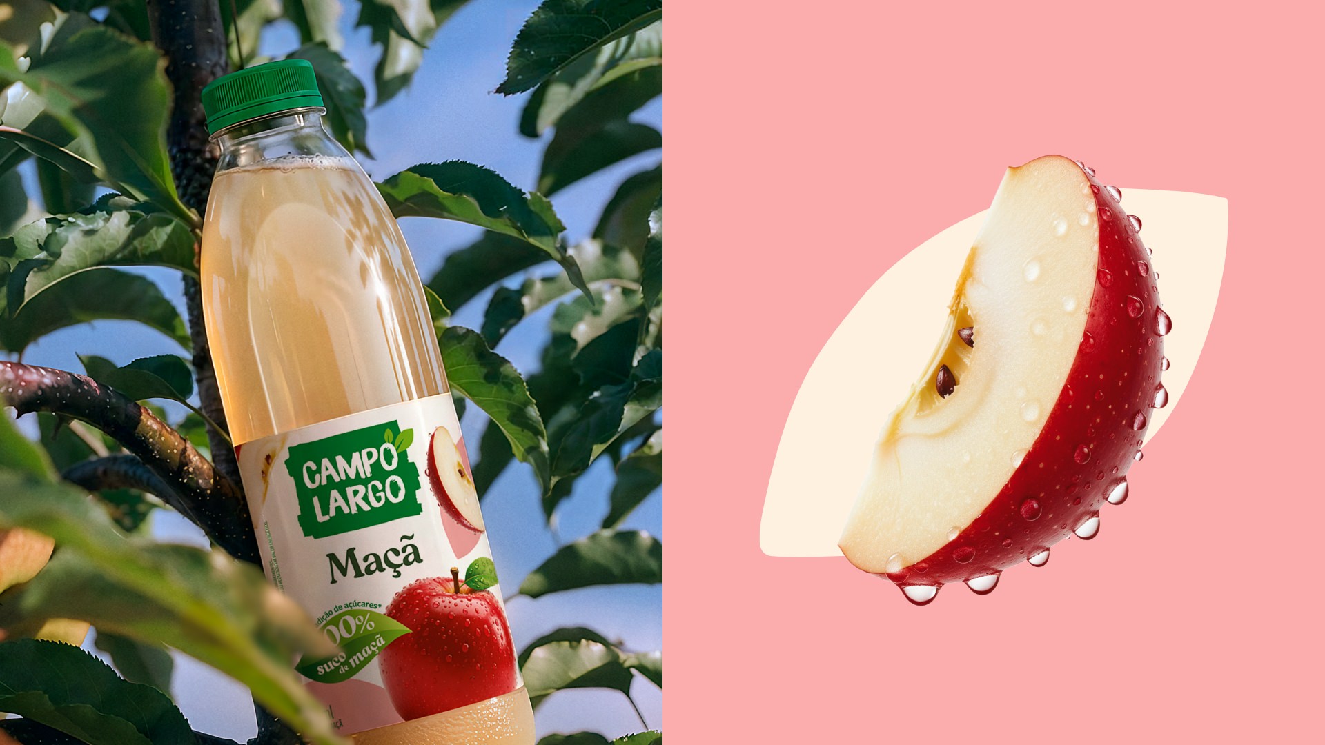 Projeto de design de embalagens sucos Campo Largo.