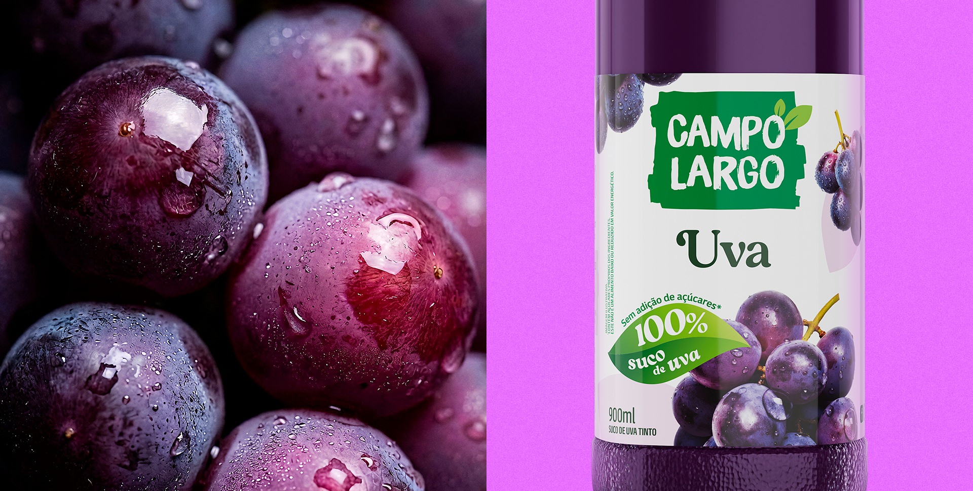 Projeto de design de embalagens sucos Campo Largo.