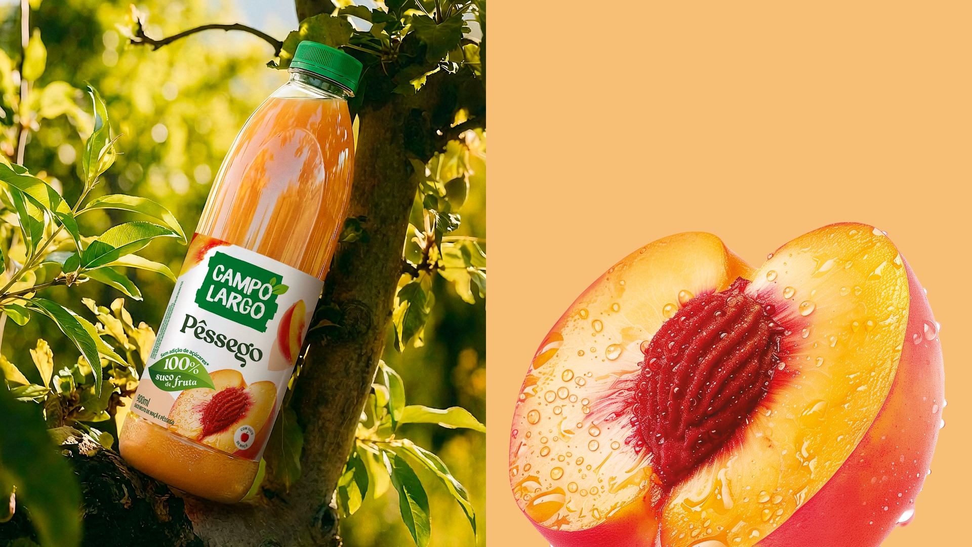 Projeto de design de embalagens sucos Campo Largo.