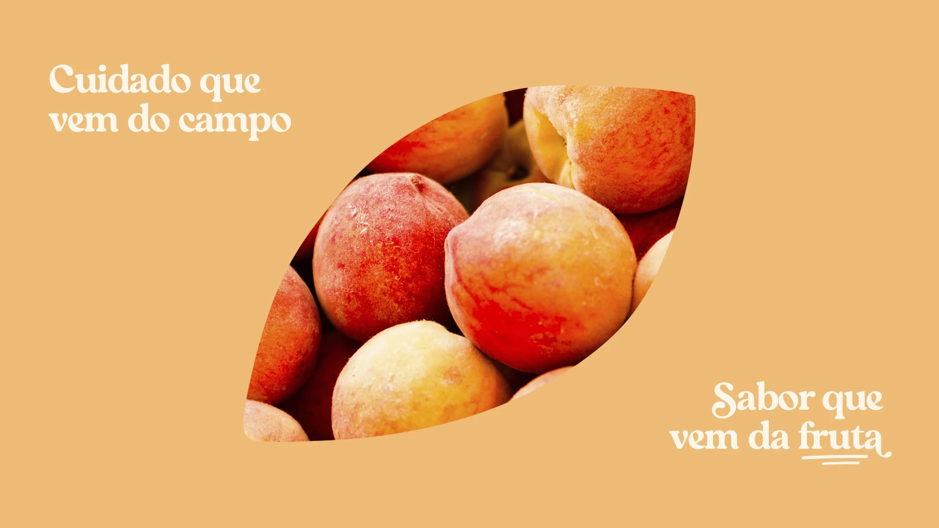 Projeto de design de embalagens sucos Campo Largo.